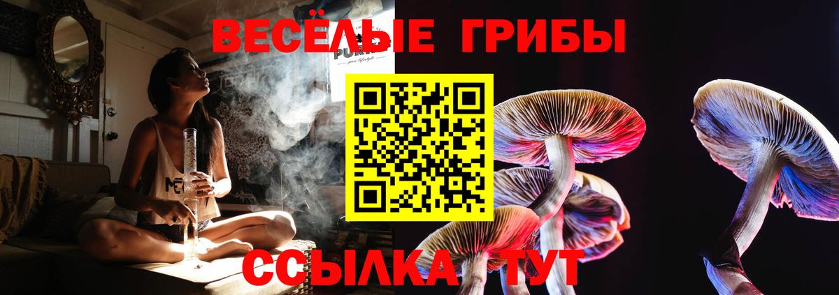 Галлюциногенные грибы ЛСД  Галлюциногенные грибы ЛСД  как найти закладки  Вход с VPN  Минусинск 